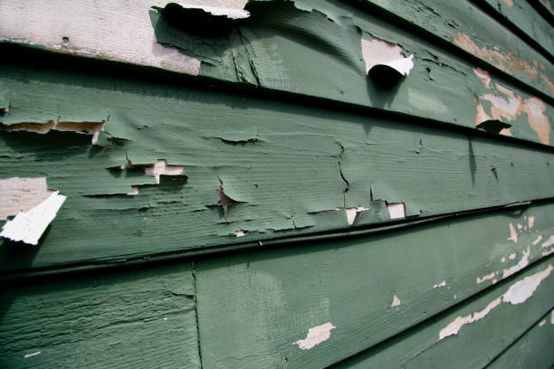 Same-Day Junk Removal Services in Brent, FL