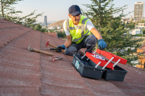 Best Attic Cleanout  in Brent, FL